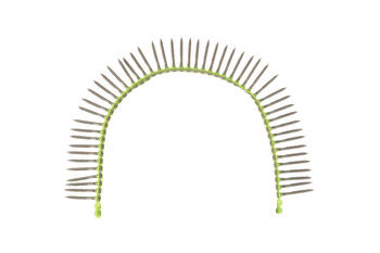 Metabo hpt alloy steel black phosphate screws 5cm long special for home improvement projects 1000 pieces anti-corrosion screws