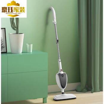 Pickup cat steam steam mop, efficient mite removal steam cleaner, high temperature steam mop, household multifunctional electric cleaning machine, small handheld mite removal, white standard mite removal steam non-adjustable luxury nine-piece set
