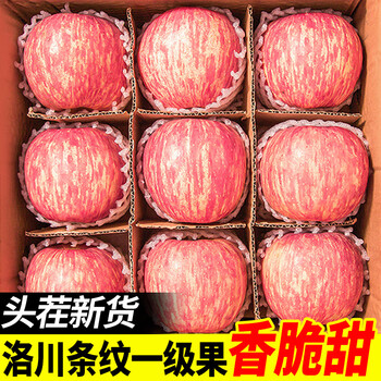 Changguohui authentic shaanxi luochuan apple fruit fresh season whole box red fuji rock candy hearts first class crisp and sweet 10kg free shipping 75-80mm 10kg in box (net weight 8.8kg) 8.8kg