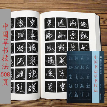 Chinese calligraphy cursive techniques