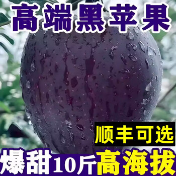 Sf express can choose black card apples, black diamond apples 5 pounds, pure sweet black apples for pregnant women and children, fresh fruit, whole box m 9 pounds, net weight 8.5 pounds sf express