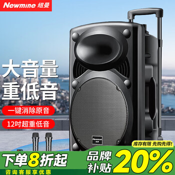 Newman b12 square dance audio 12-inch outdoor karaoke subwoofer bluetooth audio portable mobile stage trolley speaker amplifier high-power subwoofer b12 40w standard version + dual microphones