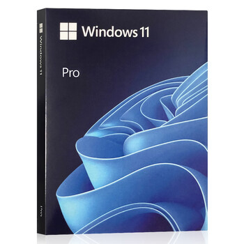 Genuine win11 professional version system usb disk computer reinstall windows10 home chinese version upgrade pro pure win11pro english usb-1 activation