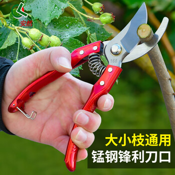 Qilu anran pruning scissors gardening pruning fruit tree branch pruning scissors gardening garden flower arrangement flower pruning fruit tree scissors sk5 steel pruning shears - length 213mm red