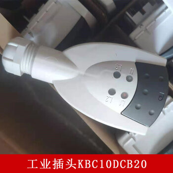 Schneider electric plug kbc10dcb20 delivery period 4 months