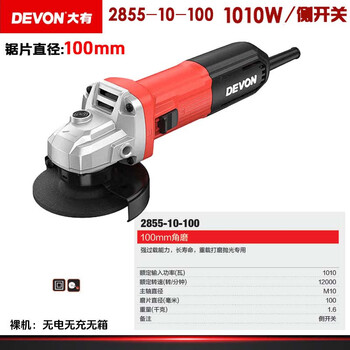 Dayou industrial angle grinder 2855 cutting and grinding machine metal door and window installation fine handle grinding and polishing 100mm angle grinder 2855-10-100 side switch 1010w