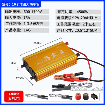 Inverter head deepwater new high-power 12v multi-functional intelligent boost power converter high voltage intelligent 24-tube pure copper wire 1 gift bag + backpack
