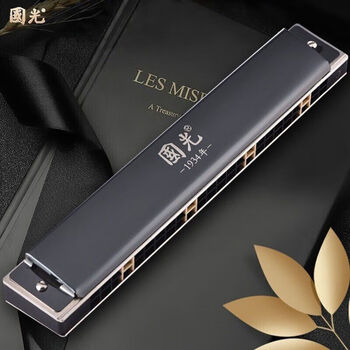 Guoguang germany imported gongs guoguang harmonica professional performance level 28 holes advanced adult beginners 24 holes polyphonic c key imported gongs black 24 holes polyphonic c key