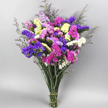 Yunnan forget-me-not dried flower bouquet, real flowers, flowers shipped, naturally dried, living room decoration, coffee table, gift, 6 color mix + grass, 20 pcs (40cm long)