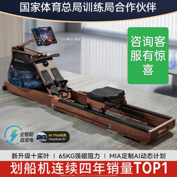 Merrick merach super fat-burning hydromagnetic double-resistance rowing machine mr-950 smart home folding paddling upgrade 10 blades upgrade 10 blades self-generating non-folding r8h