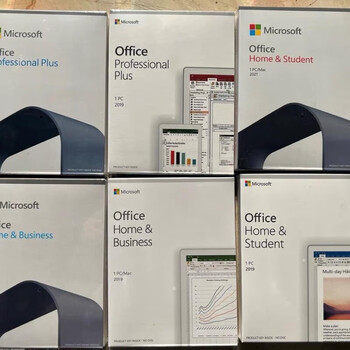 Office2010 2013 2016 2019 2021 professional version cd u disk genuine permanent activation installation office2019 english professional version