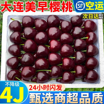 Spot imported chilean cherries, fresh cherries in season, high-end extra large chilean cherries whole box pregnant woman gift box 2500g (net weight) extra large fruit jj 28-30mm