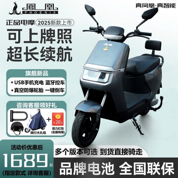 Phoenix domestic products subsidy phoenix electric motorcycle 60/72v graphene long range electric motorcycle battery vehicle high-end version + gray + front and rear disc brakes (red kit) 72v38ah (graphene battery 6 pieces) super large capacity