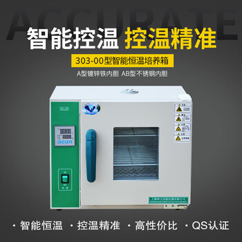 Kezhi tukuntian instrument 303-00 electric constant temperature incubator biochemical incubator laboratory microbial incubator 303-00a