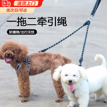 One for two traction ropes, anti-tangle dog double-headed traction rope, detachable dog walking rope, one for two pairs of dog chains, double-headed traction rope - black *170cm