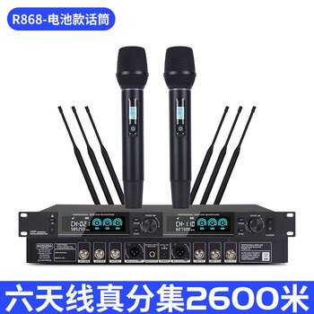 Nxg true diversity wireless u-segment microphone one to two four anti-squealing professional stage wedding performance home ktv microphone true diversity one to two handheld model 2600 meters reception