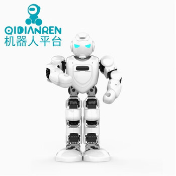 Ubtech alpha humanoid bipedal programming companion experience interactive dancing voice education intelligent robot rental service