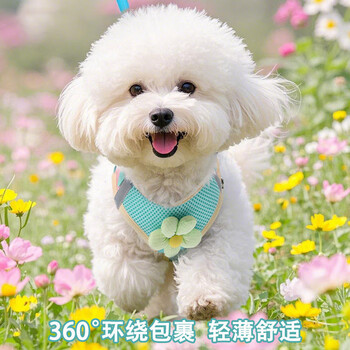 Jiahuide dog leash harness vest style dog walking leash bichon teddy small and medium dog chain puppy leash turquoise green light and breathable +1.5 meter rope s code (recommended for dogs 3-6 pounds)