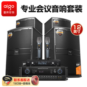 Patriot conference room audio set 12-inch small and medium-sized home ktv background training special stage gym speaker wall-mounted speaker