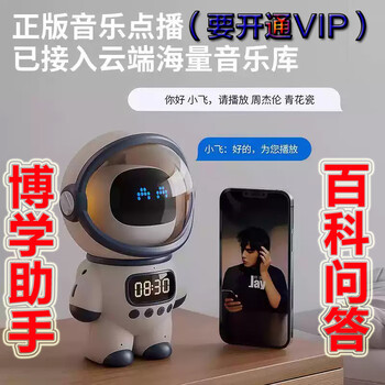 Doubao deepseek large model ai intelligent robot children and students chat teaching assistant learning machine holiday gift ai model access doubao deepseek large model
