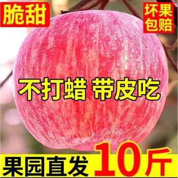 Shaanxi yan'an luochuan red fuji 10 catties packed apples fresh fruit crispy sweet seasonal fruits fresh with box 9-10 catties large fruit