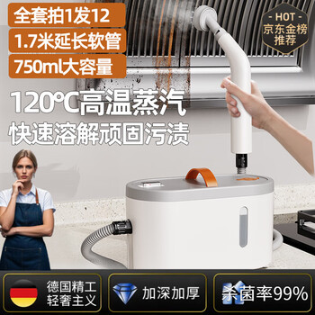 Aoyanlai german quality high-temperature steam cleaner high-pressure household cleaning kitchen range hood window glass wiper gas stove sofa high-temperature steam cleaner imported motor