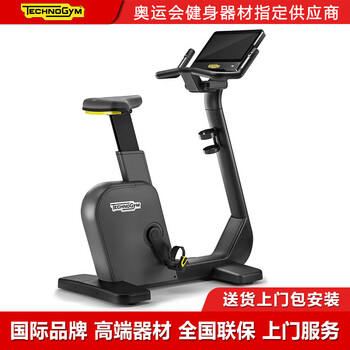 Technogym home live500 vertical magnetically controlled smart exercise bike silent aerobic bicycle imported from italy gray live 500 (10-inch touch screen)