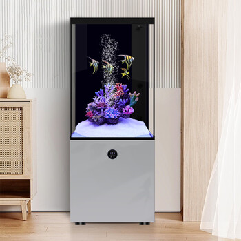 Hanba 2025 new fish tank living room household bottom filter small ultra-white glass landscaping aquarium smart floor-standing cement gray bottom filter * raise fish as soon as you get it 60x40x125cm