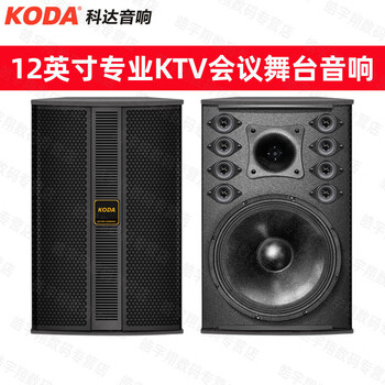 Keda conference room ktv stage audio speaker professional small and medium-sized conference wall-mounted speaker bluetooth amplifier wireless microphone set teaching training dance shop 12-inch professional audio pair (happy no. 2)