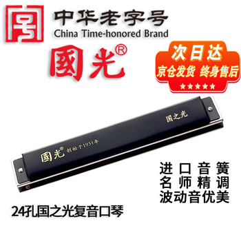 Guoguang 24-hole guozhiguang imported gong polyphonic harmonica (matte black, wave tone, with teaching materials, glasses case)