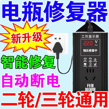 2025 new electric vehicle battery repairer lead-acid lithium battery universal intelligent pulse repair automatic power off smart chip battery repair artifact