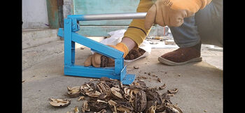 Northeast pecan special opener shell breaker pecan pressing machine artifact wild walnut pliers smashing tool