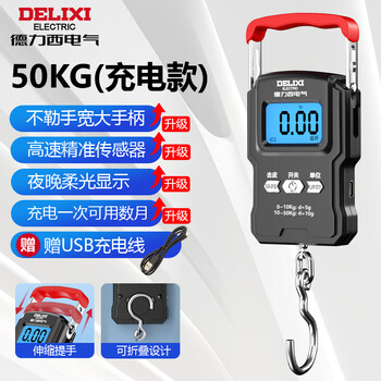 Delixi electric portable scale, spring scale, mini hook scale, small hanging scale, electronic scale, luggage scale, express scale, rechargeable model 50kg - with charging cable