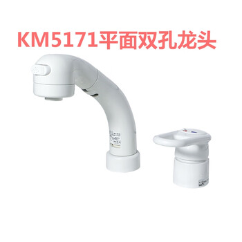 Panasonic cosmetic counter basin all copper bevel flat single hole double hole hot and cold faucet special pull hose flat faucet double hole (km5171)
