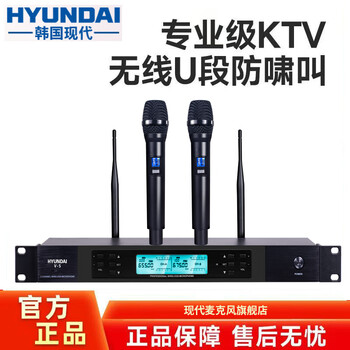 Hyundai modern home wireless microphone professional one-to-two ktv singing anti-howling u-section charging stage conference karaoke audio amplifier receiver hosting high-end microphone fm v5