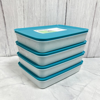 Tupperware 225 liter snow shadow frozen dumpling box quick-frozen storage box enlarged crisper box 4-piece set 4-piece set