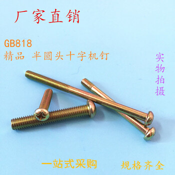 Renjuyi gb818 machine screw semi-round head cross machine nail screw bolt pan head screw m5*6-150 m5*85 (500 pieces)