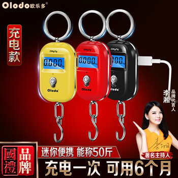 Olodo rechargeable mini portable electronic scale, high-precision small scale, small hook scale for shopping, spring scale, express scale, hook scale, rechargeable black, mini portable scale 50g0.1g