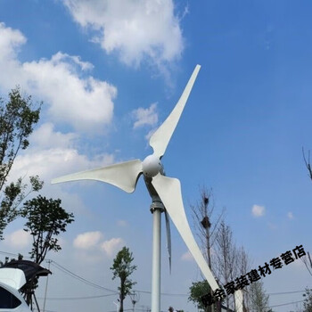 Langya small wind turbine 220 volt wind and solar complementary wind power charging household generator main picture