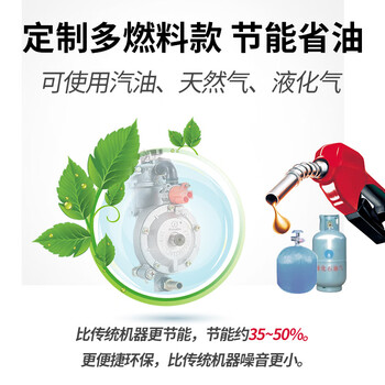 Wen yijia gasoline generator 220v household small single three-phase 380 volt dual voltage 5kw6/8/10 kilowatt frequency conversion customized multi-fuel contact customer service to make up the price difference 200