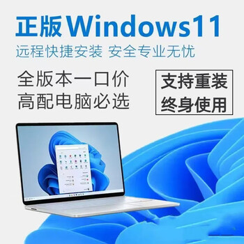 Genuine windows11 professional version original pure reinstallation 10 family simplified chinese pro apple mac notebook dual system m2 chip u disk remote win11/10 professional version-online remote installation