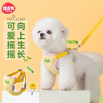 Hippie dog shaker dog leash vest style small dog pet chest and back dog leash s size recommended 1-4 pounds