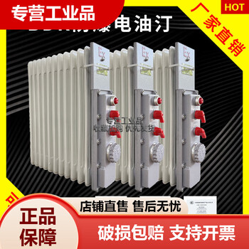 Bdr51 explosion-proof electric heater 2000w 9 pieces 11 pieces 13 pieces mobile/wall-mounted 220v power supply oil heater wall-mounted bracket