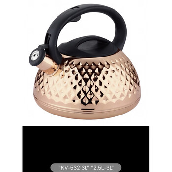 Overseas 25 high stainless steel gas kettle commercial whistle kettle 25 1l 3l17