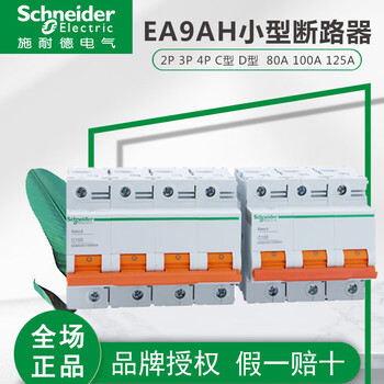 Schneider ea9ah 2p 3p 4p c type d type c80a d100a 125a small circuit breaker e9 ea9ah-2p-c80a