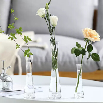 Dim vase decoration living room flower arrangement niche nordic glass bottle transparent ins style mini thin mouth light luxury water care creative transparent small size