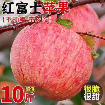 Authentic shandong yantai red fuji apple rock candy heart fresh fruit seasonally picked qixia crisp sweet fruit whole box l9 9 jin large fruit freshly picked