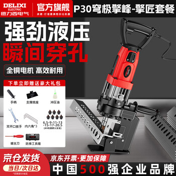 Delixi electric hydraulic punching machine portable angle iron angle steel channel punching machine p30 high configuration
