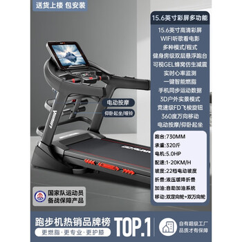 Lijiujia x9 treadmill for home use, gym-specific, ultra-quiet climbing, small, foldable indoor 15.6-inch color screen, multi-functional gym