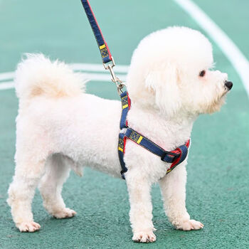 Dog rope dog leash small and medium-sized dog pet leash walking rabbit cat teddy chain denim vest traction rope denim rope s recommended 3-7 catties